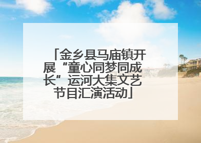 金乡县马庙镇开展“童心同梦同成长”运河大集文艺节目汇演活动