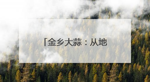 金乡大蒜：从地头到全球“链出”全产业之路