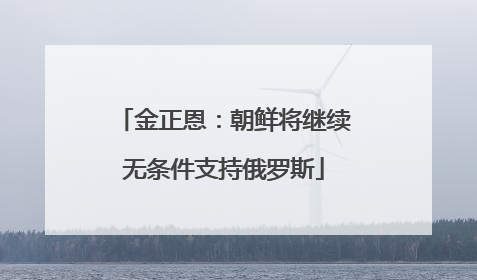 金正恩：朝鲜将继续无条件支持俄罗斯