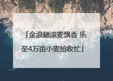 金浪翻滚麦飘香 乐至4万亩小麦抢收忙