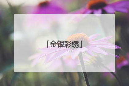 金银彩绣