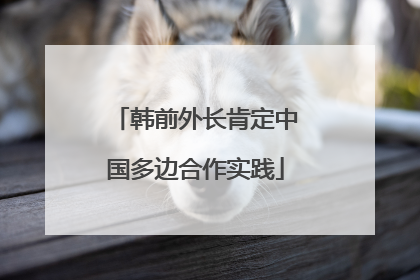 韩前外长肯定中国多边合作实践