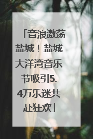音浪激荡盐城！盐城大洋湾音乐节吸引5.4万乐迷共赴狂欢