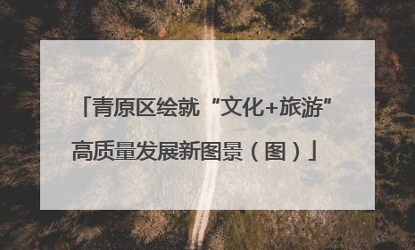 青原区绘就“文化+旅游”高质量发展新图景（图）