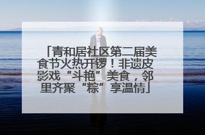 青和居社区第二届美食节火热开锣！非遗皮影戏“斗艳”美食，邻里齐聚“粽”享温情