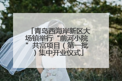 青岛西海岸新区大场镇举行“前河小院”共富项目（第一批）集中开业仪式