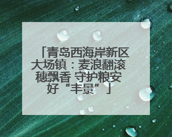 青岛西海岸新区大场镇：麦浪翻滚穗飘香 守护粮安好“丰景”