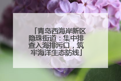青岛西海岸新区隐珠街道：集中排查入海排污口，筑牢海洋生态防线