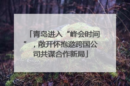 青岛进入“峰会时间”，敞开怀抱邀跨国公司共谋合作新局