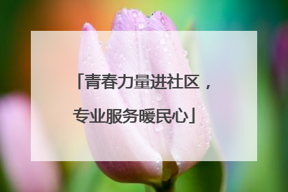 青春力量进社区，专业服务暖民心