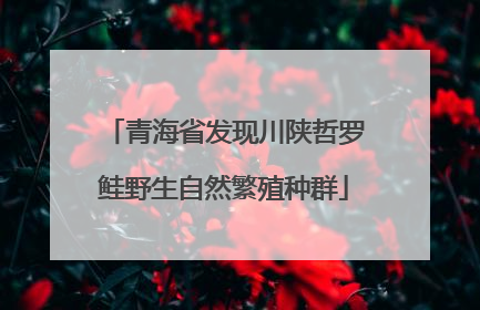 青海省发现川陕哲罗鲑野生自然繁殖种群