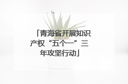 青海省开展知识产权“五个一”三年攻坚行动