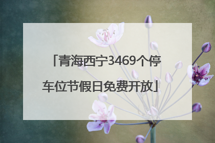 青海西宁3469个停车位节假日免费开放
