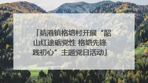 靖港镇格塘村开展“韶山红途砺党性 格塘先锋践初心”主题党日活动