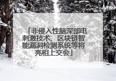 非侵入性脑深部电刺激技术、区块链智能漏洞检测系统等将亮相上交会