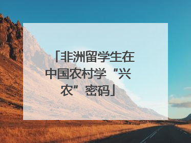 非洲留学生在中国农村学“兴农”密码