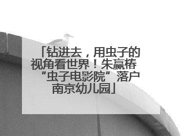 钻进去，用虫子的视角看世界！朱赢椿“虫子电影院”落户南京幼儿园