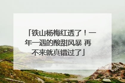 铁山杨梅红透了！一年一遇的酸甜风暴 再不来就真错过了