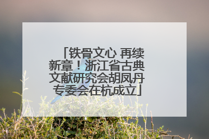铁骨文心 再续新章！浙江省古典文献研究会胡凤丹专委会在杭成立