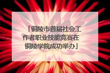 铜陵市首届社会工作者职业技能竞赛在铜陵学院成功举办