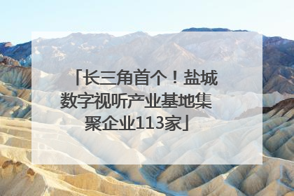 长三角首个！盐城数字视听产业基地集聚企业113家