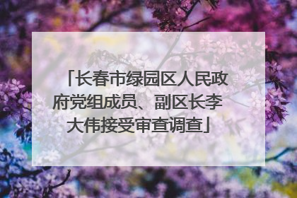 长春市绿园区人民政府党组成员、副区长李大伟接受审查调查