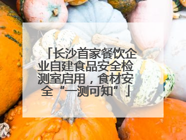 长沙首家餐饮企业自建食品安全检测室启用，食材安全“一测可知”