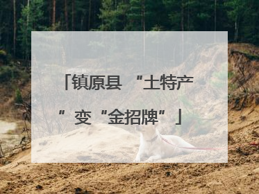 镇原县 “土特产”变“金招牌”