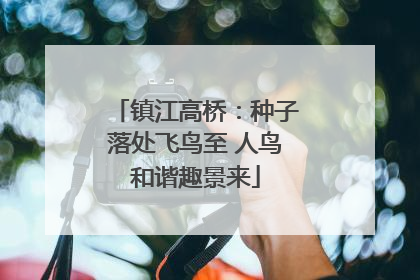 镇江高桥：种子落处飞鸟至 人鸟和谐趣景来