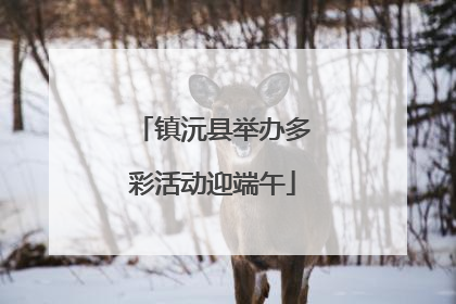 镇沅县举办多彩活动迎端午