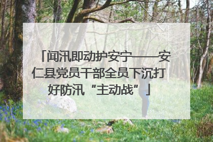 闻汛即动护安宁——安仁县党员干部全员下沉打好防汛“主动战”
