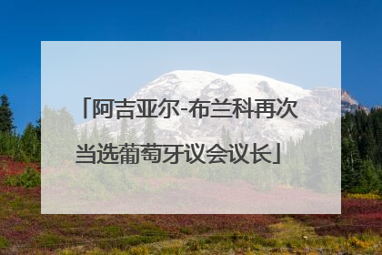 阿吉亚尔-布兰科再次当选葡萄牙议会议长