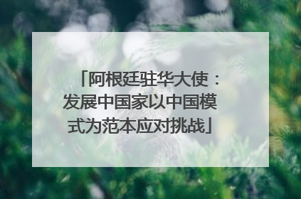 阿根廷驻华大使：发展中国家以中国模式为范本应对挑战