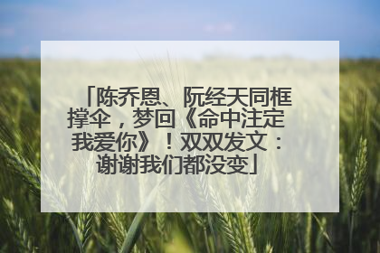 陈乔恩、阮经天同框撑伞，梦回《命中注定我爱你》！双双发文：谢谢我们都没变