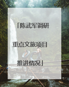 陈武军调研重点文旅项目推进情况