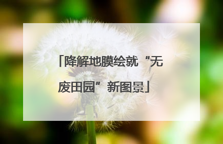 降解地膜绘就“无废田园”新图景