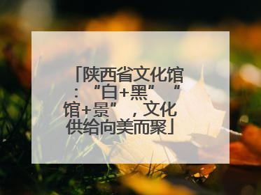 陕西省文化馆：“白+黑”“馆+景”，文化供给向美而聚