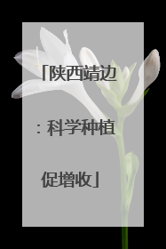 陕西靖边：科学种植促增收