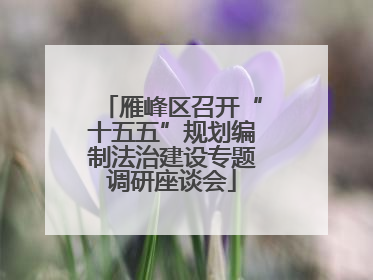 雁峰区召开“十五五”规划编制法治建设专题调研座谈会
