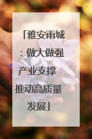 雅安雨城：做大做强产业支撑 推动高质量发展