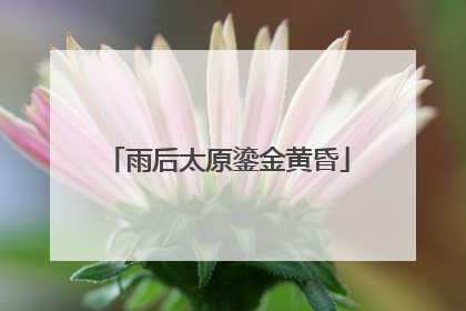 雨后太原鎏金黄昏