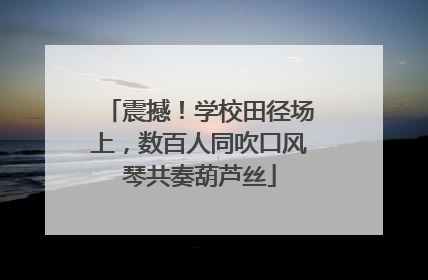 震撼！学校田径场上，数百人同吹口风琴共奏葫芦丝