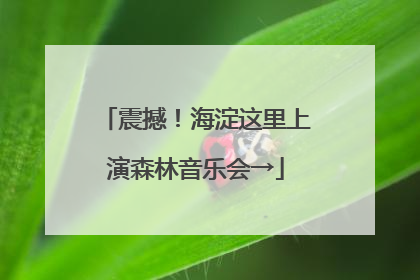 震撼！海淀这里上演森林音乐会→