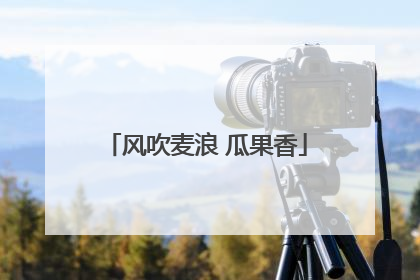 风吹麦浪 瓜果香