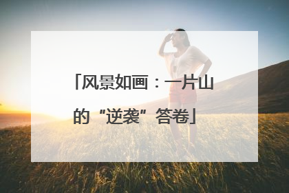 风景如画：一片山的“逆袭”答卷