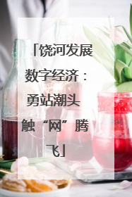 饶河发展数字经济：勇站潮头 触“网”腾飞