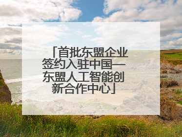 首批东盟企业签约入驻中国—东盟人工智能创新合作中心