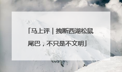 马上评｜拽断西湖松鼠尾巴，不只是不文明