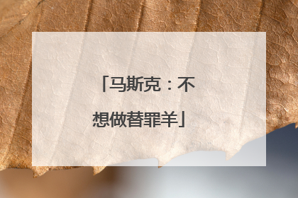 马斯克：不想做替罪羊