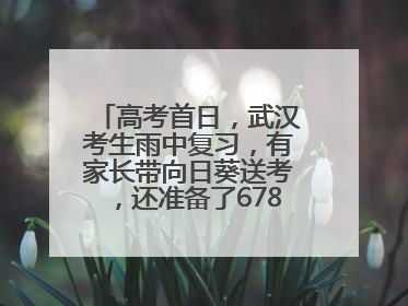 高考首日，武汉考生雨中复习，有家长带向日葵送考，还准备了678元红包